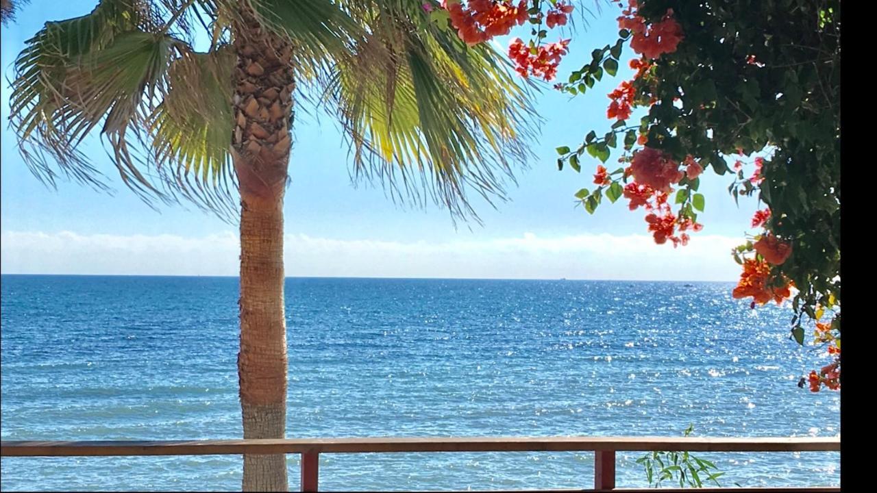 Mi Capricho 4B Beachfront - Apartment With Sea View - Costa Del Sol - 라칼라데미야스 외부 사진